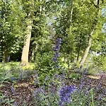 Gulfhof Butendiek - Fruechtekammer * Neuharlingersiel